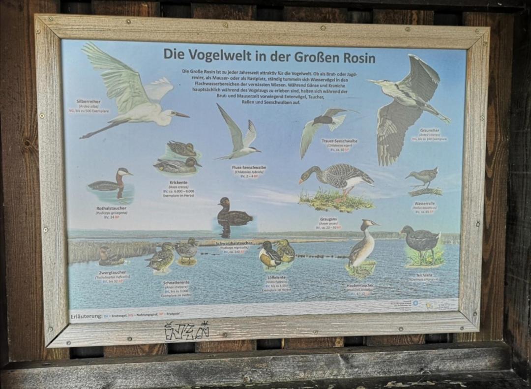 Sommerhaus Verchen Buitenkant foto