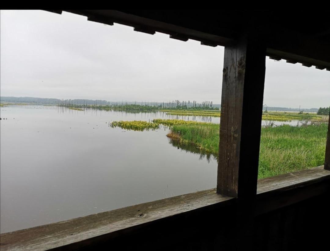 Sommerhaus Verchen Buitenkant foto